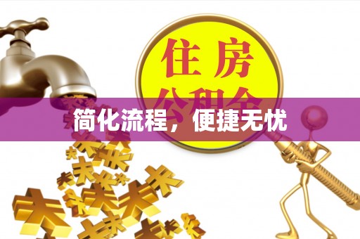 阜城简化流程，便捷无忧