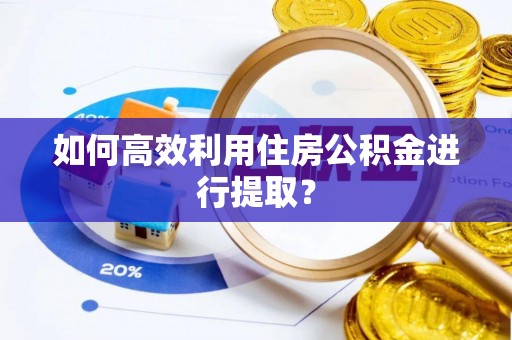阜城如何高效利用住房公积金进行提取？
