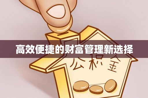 阜城高效便捷的财富管理新选择