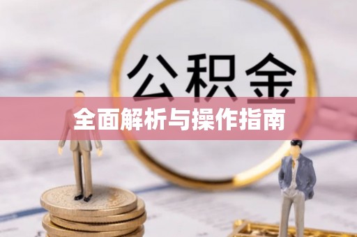 阜城全面解析与操作指南