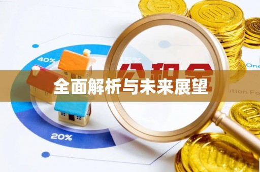 阜城全面解析与未来展望