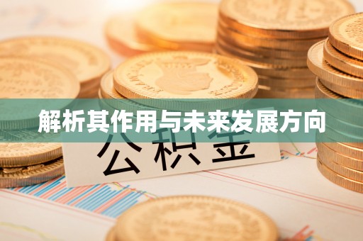 阜城解析其作用与未来发展方向