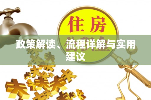 阜城政策解读、流程详解与实用建议
