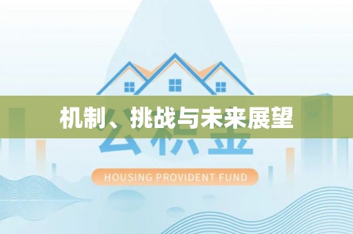 阜城机制、挑战与未来展望