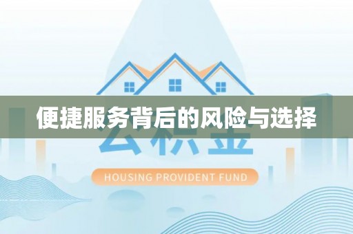 阜城便捷服务背后的风险与选择