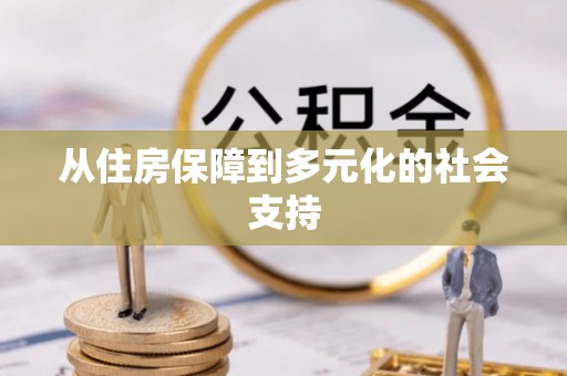 阜城从住房保障到多元化的社会支持