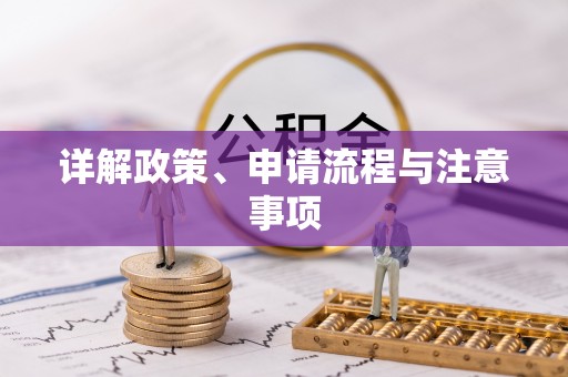 阜城详解政策、申请流程与注意事项