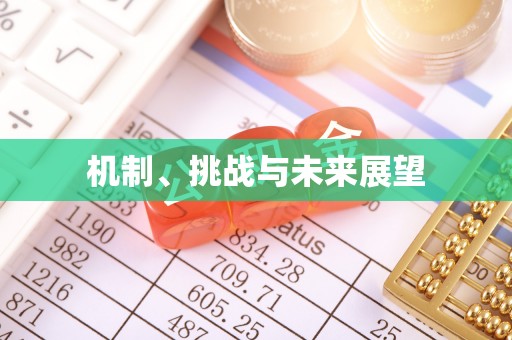 阜城机制、挑战与未来展望