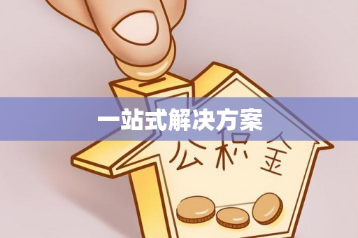 阜城一站式解决方案