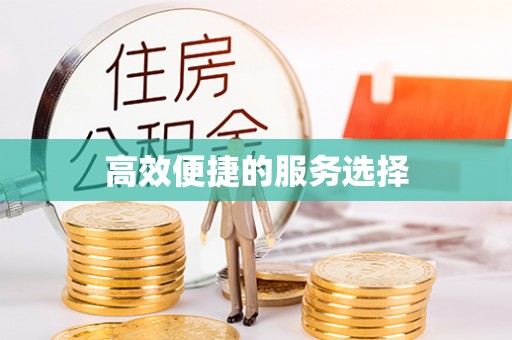 阜城高效便捷的服务选择