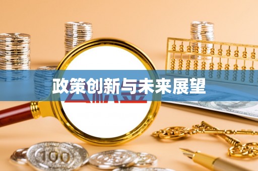 阜城政策创新与未来展望