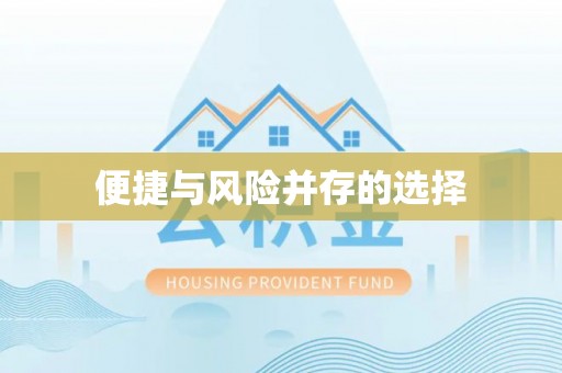 阜城便捷与风险并存的选择