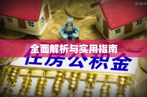 阜城全面解析与实用指南