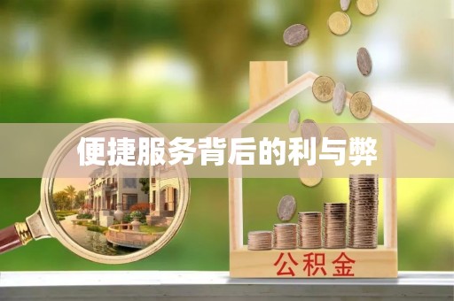 阜城便捷服务背后的利与弊