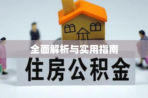 阜城全面解析与实用指南