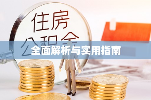 阜城全面解析与实用指南
