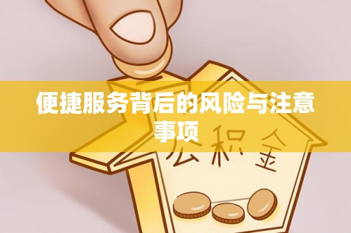阜城便捷服务背后的风险与注意事项