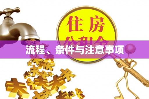 阜城流程、条件与注意事项